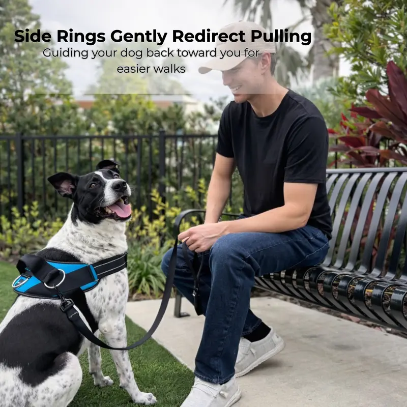 ShawnCo | Essential Dog Harness with 3 Leash Clips – Reflective, Adjustable & Padded Vest for Easy Walks and Training (Small to Large Dogs)