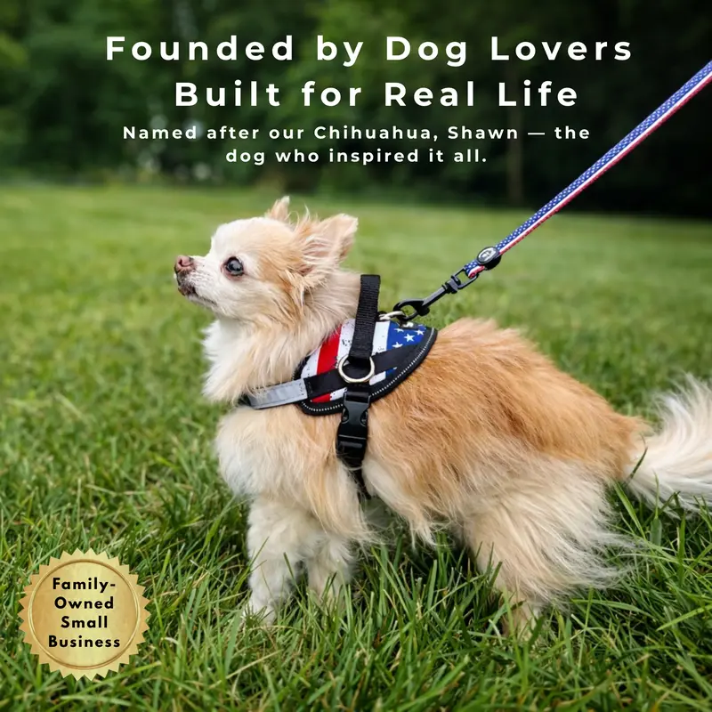 ShawnCo | Essential Dog Harness with 3 Leash Clips – Reflective, Adjustable & Padded Vest for Easy Walks and Training (Small to Large Dogs)